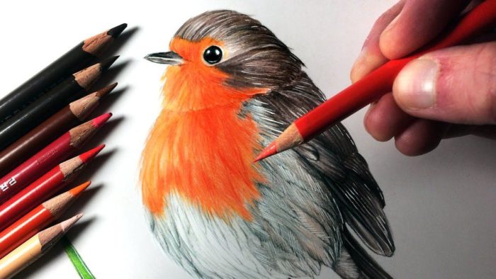 Рисование цветными карандашами