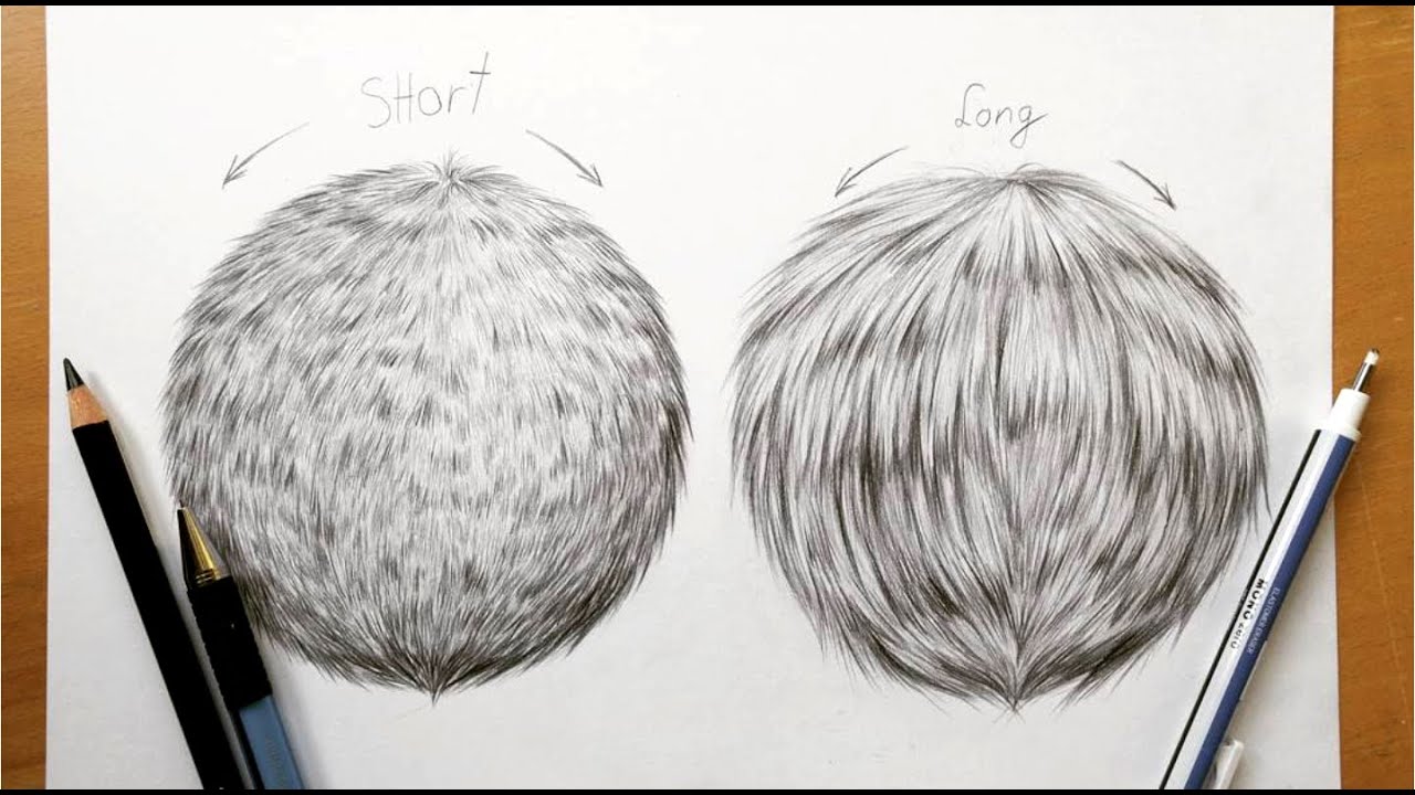 Рисование различных видов меха и волос